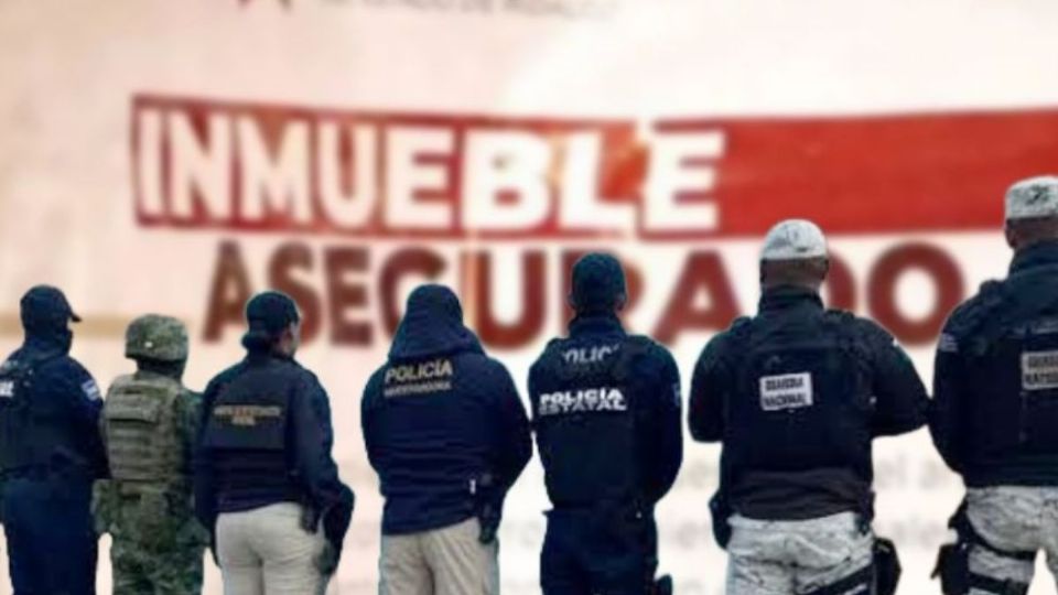 Combate a la economía delincuencial